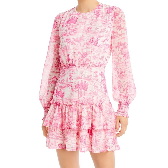 AQUA Toile Printed Ruffled Mini Dress, Sz Large, pink, long sleeve crew neck - Picture 1 of 15